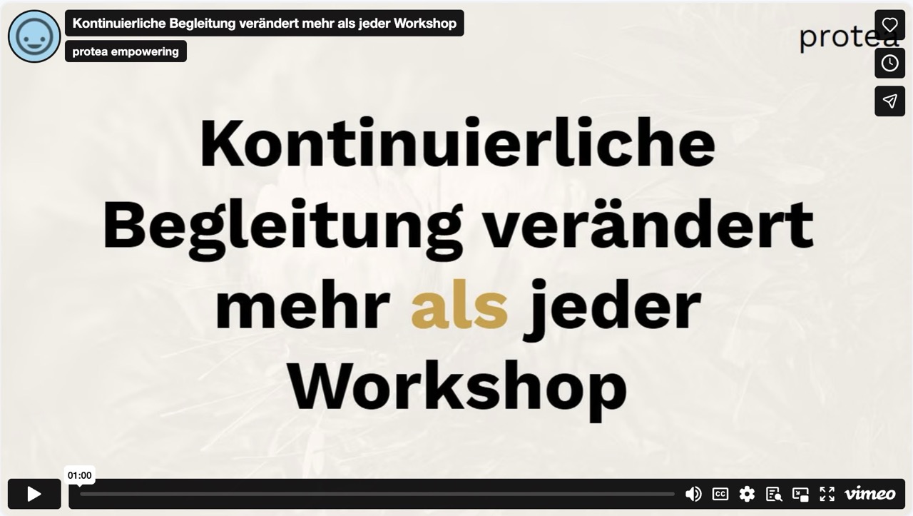 Kundenreferenz zu protea Coaching: Kontinuierliche Begleitung verändert mehr, als jeder Workshop