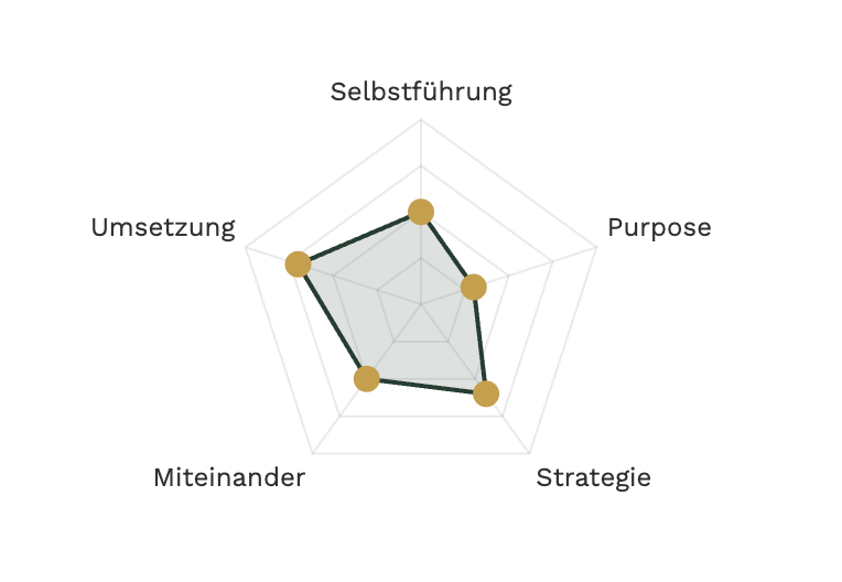protea Stresstest-Radar Ein Spinnendiagramm mit 5 Dimensionen.